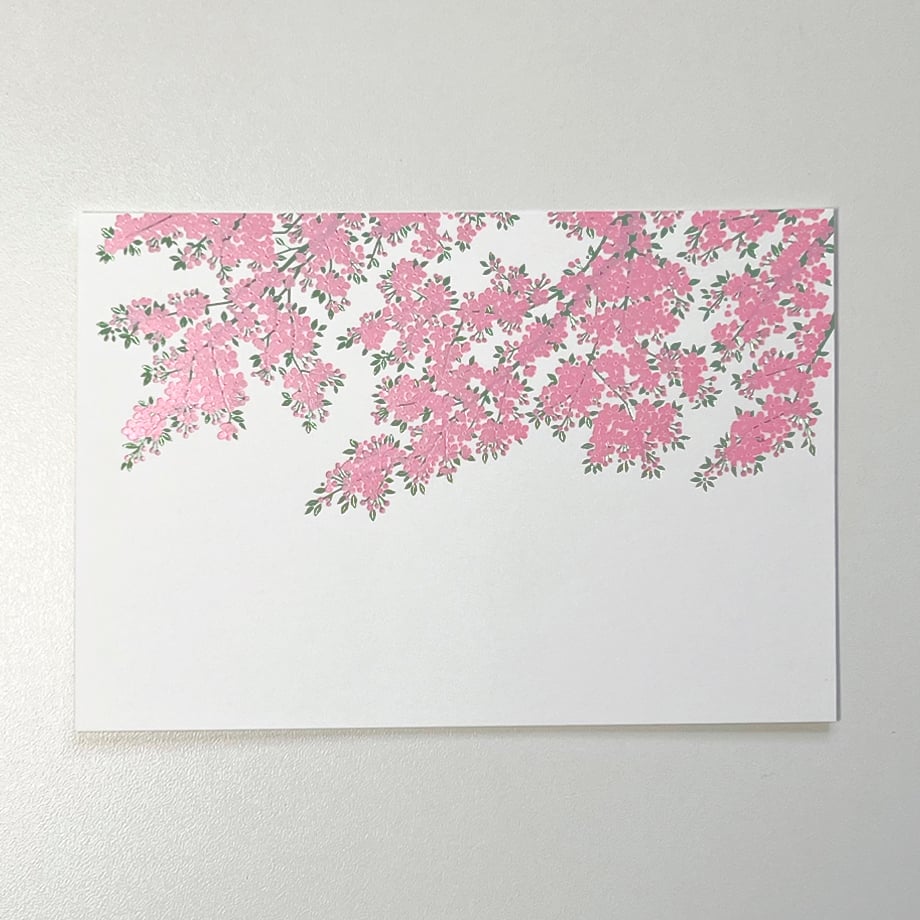 桜 サクラ | WAKO cards ワコウカードストア