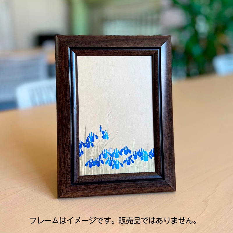 カキツバタ（茶） | WAKO cards ワコウカードストア