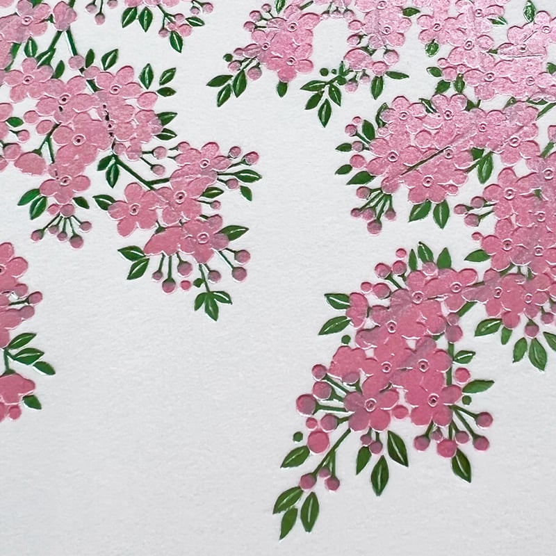 桜サクラ／夜桜ヨザクラセット（各5枚 計10枚） | WAKO cards ワコウ