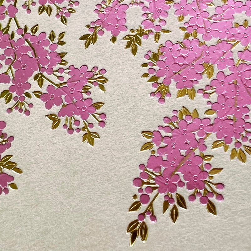 桜サクラ／夜桜ヨザクラセット（各5枚 計10枚） | WAKO cards ワコウ