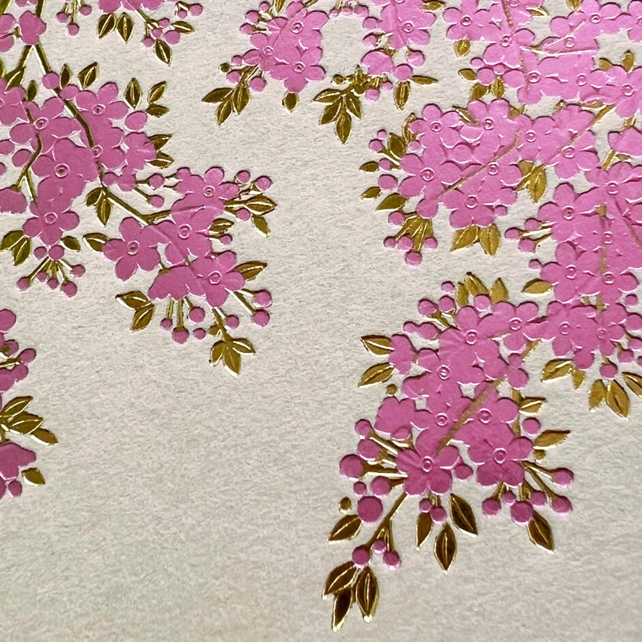 桜サクラ／夜桜ヨザクラセット（各5枚 計10枚） | WAKO cards ワコウ