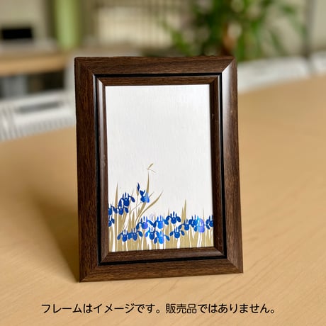 カキツバタ（白）