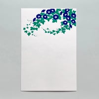 アサガオ（白）