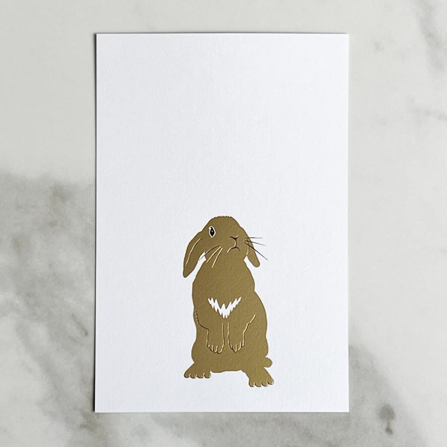 ロップイヤー様 fit=scale-down,w=1200