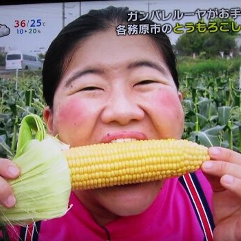 竹ちゃん家の焼とうもろこし 6個 | ファーム タケアキ