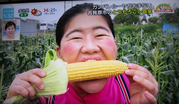 竹ちゃん家の焼とうもろこし 2個 | ファーム タケアキ