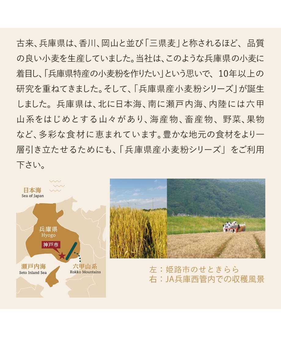 603da884c19c4568f686935a