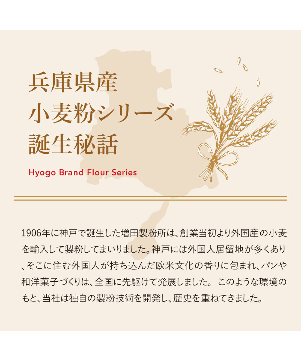 小麦粉さま ご依頼品 フライ用バッター粉たまご入り | 業務用調味料・たれのこと