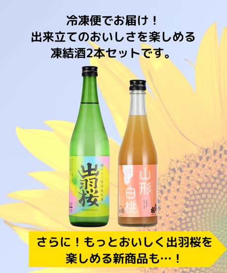 夏BOX【ひんやり冷凍便セット】