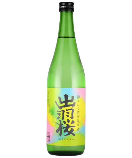 DESCENTE ぶたぱるぴ出品 中古・古着通販】DESCENTE ALLTERRAIN (デザイント オルテライン) パラ