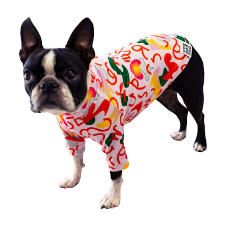 COSMOS 29Q🌎犬TシャツALYA - 'WAN RUN SUN'