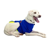 COSMOS 29Q🌎犬Tシャツ LEO - 'FUJI PARALLEL'