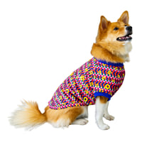 COSMOS 29Q🌎犬Tシャツ NOVA - 'STRIPES 29Q'