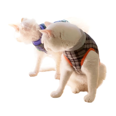 COSMOS 29Q🌎犬猫フリースベスト KURO