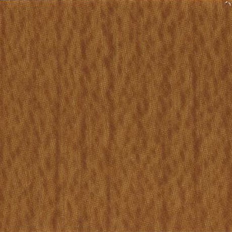 ダイノックフィルム　ウッドグレイン　ＷＧ－８７９　200mm×300mm