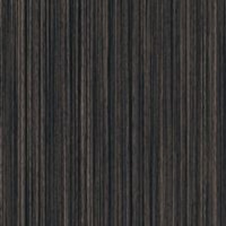 5f02a8e9df62a955cb506efc