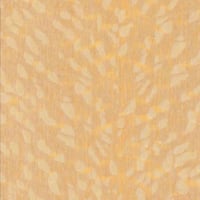 【アウトレット品】ダイノックフィルム　ウッドグレイン　ＷＧ－８５０　200mm×300mm ※¹
