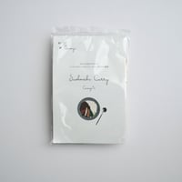 cosaji curry spice 2袋入＊