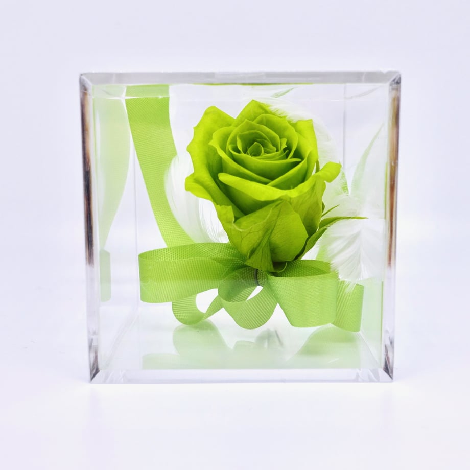 5f81db19d24eee7bcdfcfc92
