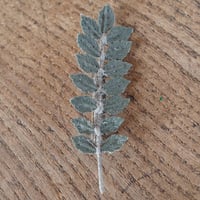 村上伊万里 ブローチ 山椒