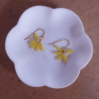 small grain ピアス/ イヤリング（イエローカルセドニー）