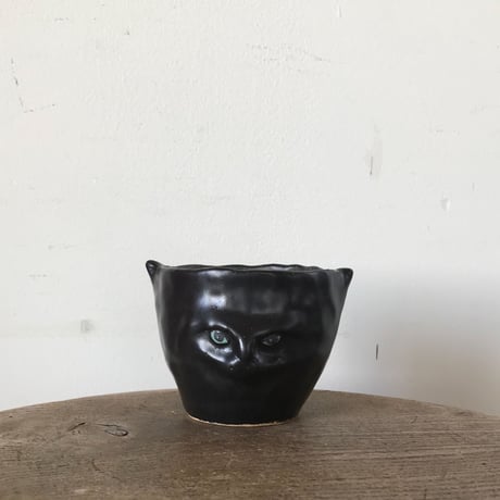 松浦 唱子 ねこcup