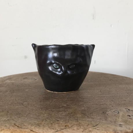 松浦 唱子 ねこcup