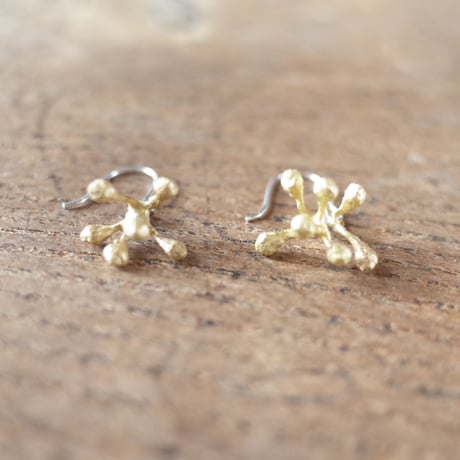 PLANTS ピアス（ユーカリ）両耳
