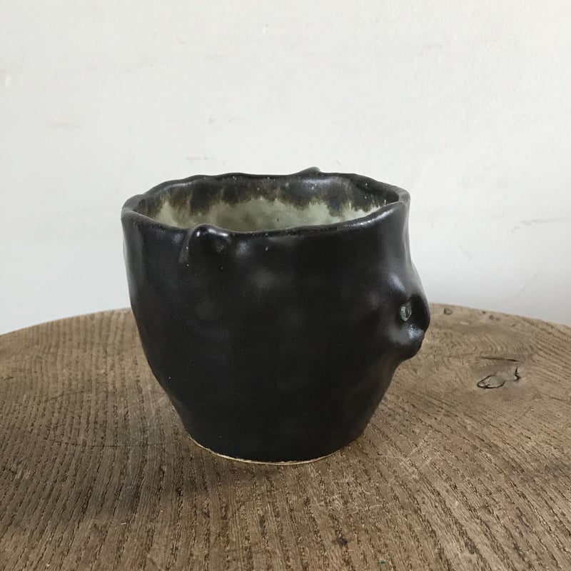 松浦 唱子 ねこcup | moln