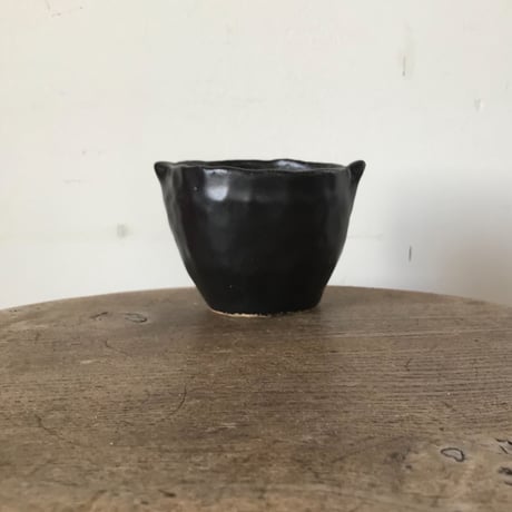 松浦 唱子 ねこcup