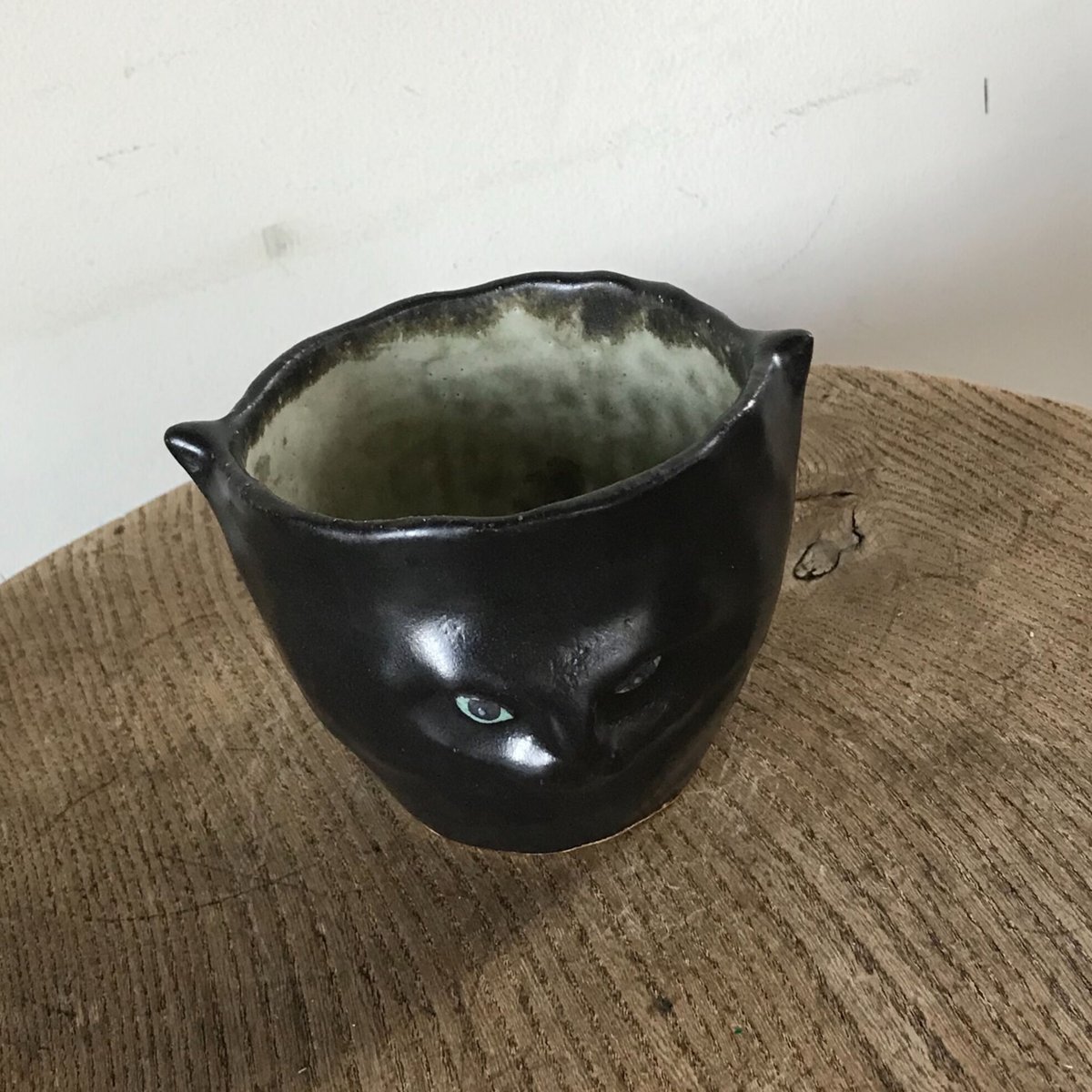 松浦 唱子 ねこcup | moln