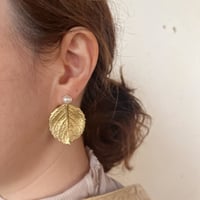 PLANTS ピアス（淡水パール・アジサイ葉）片耳