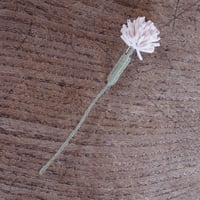 村上伊万里 ブローチ シロツメクサ