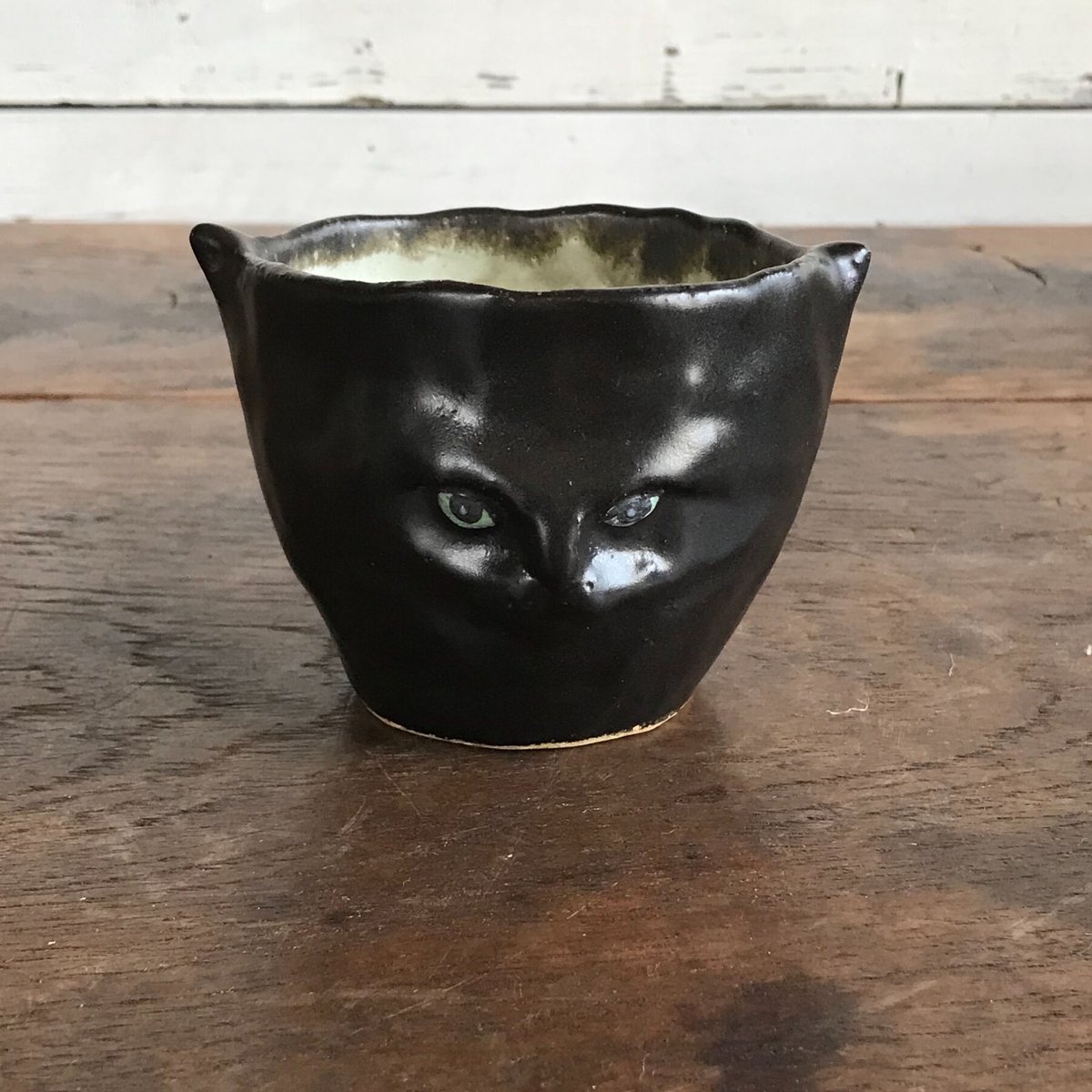 松浦 唱子 ねこcup | moln