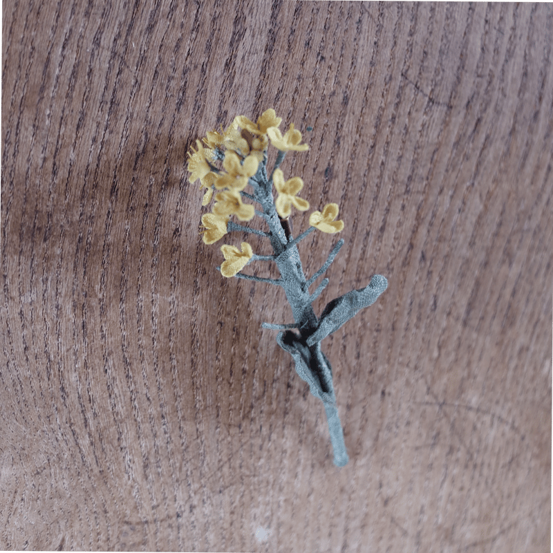 村上伊万里 ブローチ 菜の花 | moln