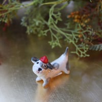 わんわん’ｓ🐶