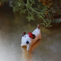 わんわん’ｓ🐶