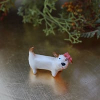 わんわん’ｓ🐶