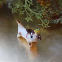 わんわん’ｓ🐶