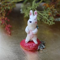 苺姫🐇