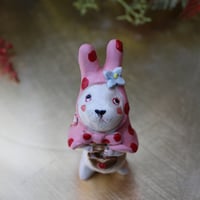 うさずきんちゃん🐇