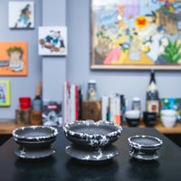 VALIEM GHOST（BOWL / Mサイズ） | 青坊主-aobouzu- | 塊根植物