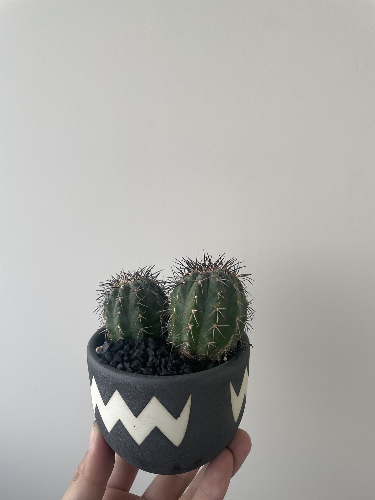 田中元将さん植木鉢　大鉢　中古品 89af89455c812148cb250b3390d387