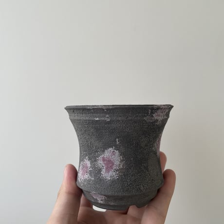 aobouzu daily pot September limited edition  2【Ssize】塊根植物やアガベと日々に寄り添える鉢。