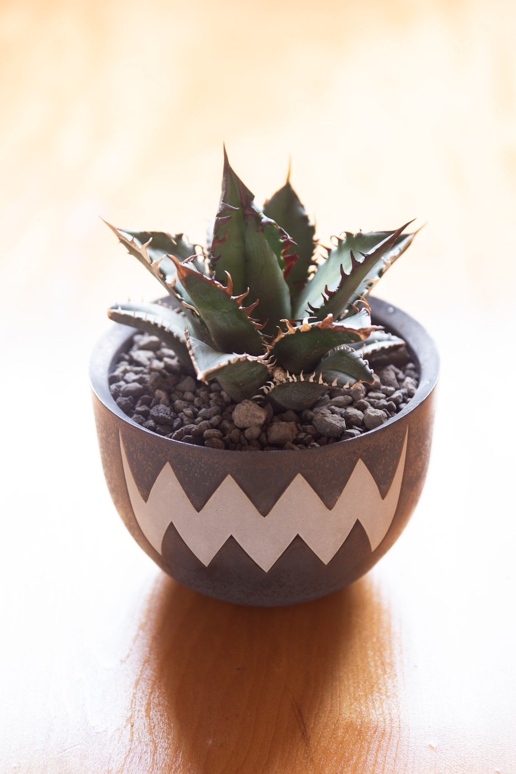 アヴィ・ドゥ・トンペット（ラタ・ポワル）　ガメイ・ヌメロ・ヌフ ヌメロ・ドゥーズ・グロロー [2021] アヴィ・ドゥ・トンペット