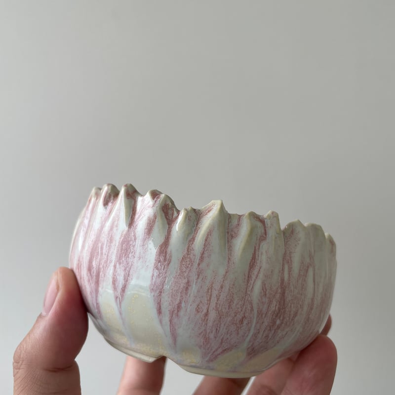 aobouzu daily pot spring SAKURA 鉢 青坊主 【公式通販】