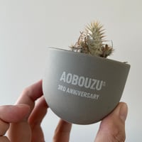 ク*ー様 VALIEM グレー植木鉢 AOBOUZ VALIEM × aobouzu MONSTER MOUTH BOWL GREY Mサイズ バリエム 青