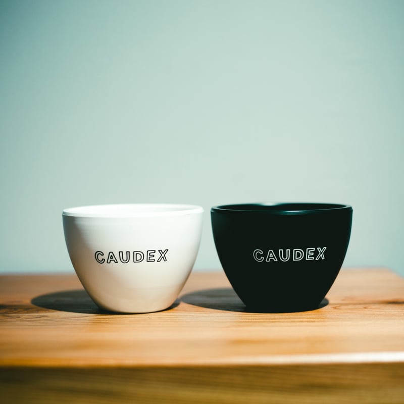 aobouzu鉢 プランツタグ aobouzu+VALIEM BOWL〗青坊主別注30個限定鉢