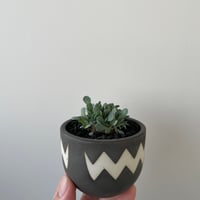 大鉢】deracinefactory 閑野淳氏 1【最高の陶器鉢・高さ14cm】塊根植物