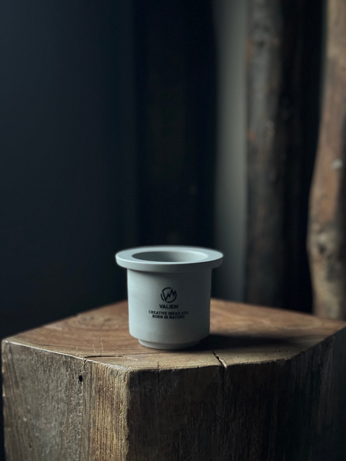 VALIEM GHOST 青坊主別注THX鉢　M1鉢 L1鉢 XL1鉢 計3鉢 VALIEM GHOST（BOWL / Mサイズ） | 青坊主-aobouzu- | 塊根植物